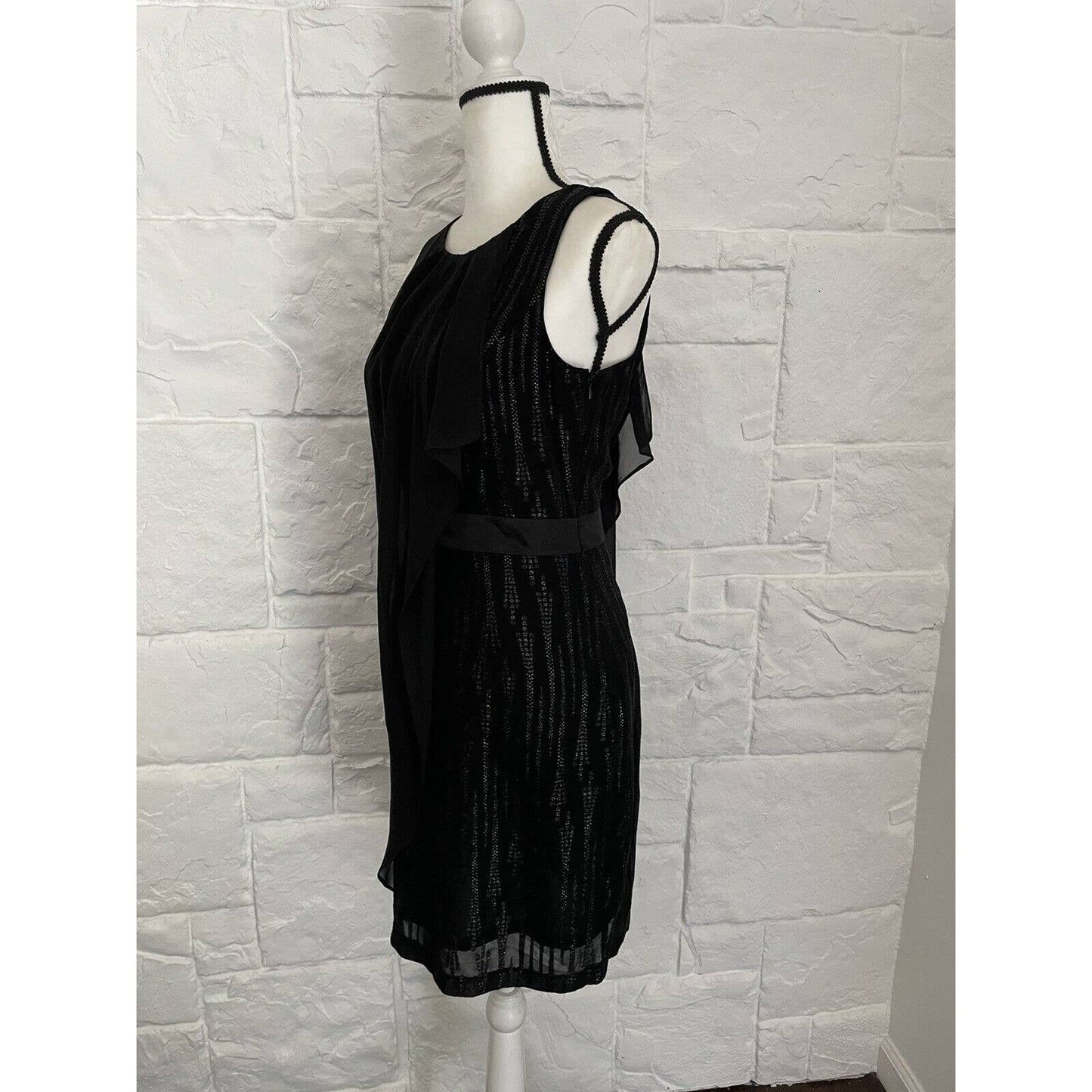 NWT Cynthia Steffe Dress Womens Size 6 Black Sleeveless Sheer Overlay