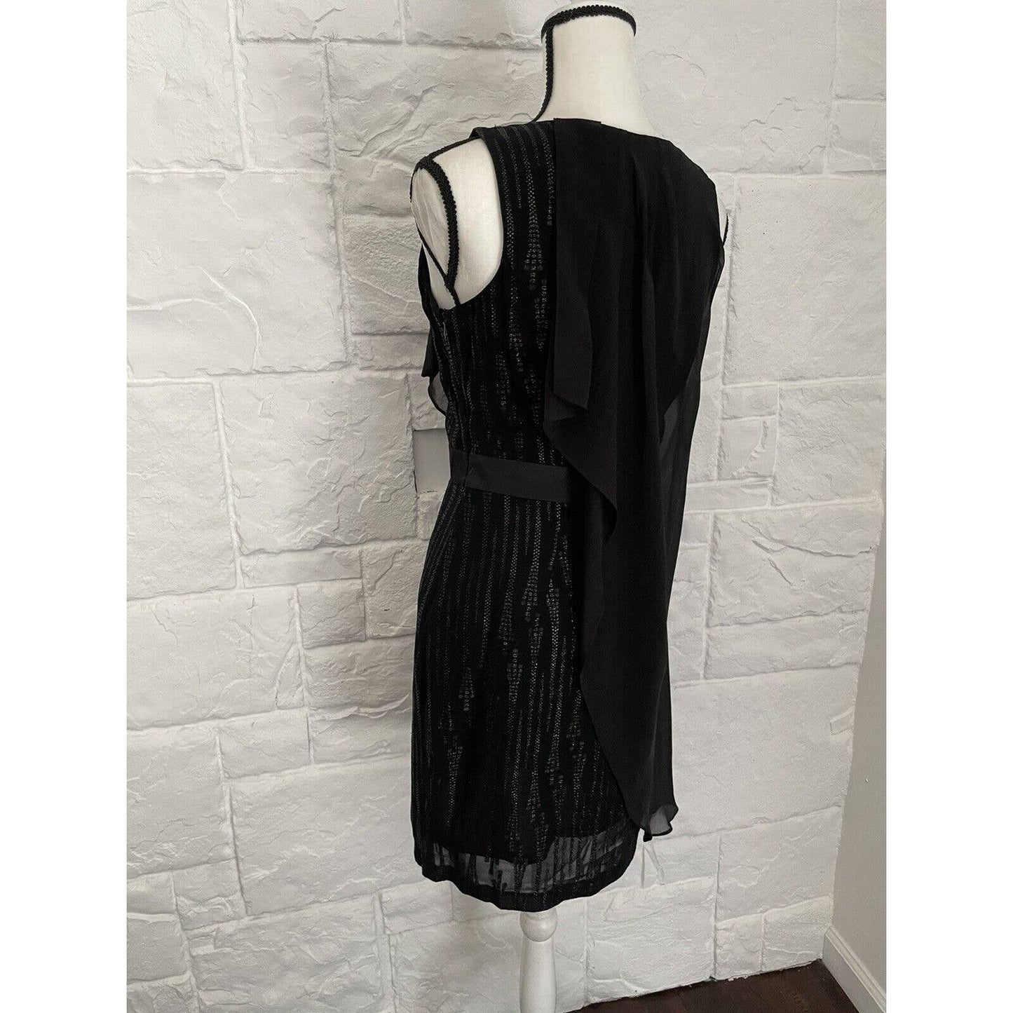 NWT Cynthia Steffe Dress Womens Size 6 Black Sleeveless Sheer Overlay